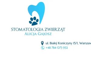 www.stomatologiazwierzat.pl